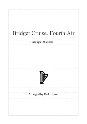 Book cover for Bridget Cruise Fourth Air