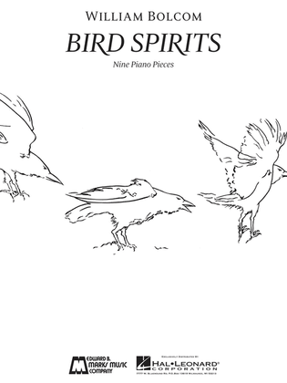 Book cover for Bird Spirits