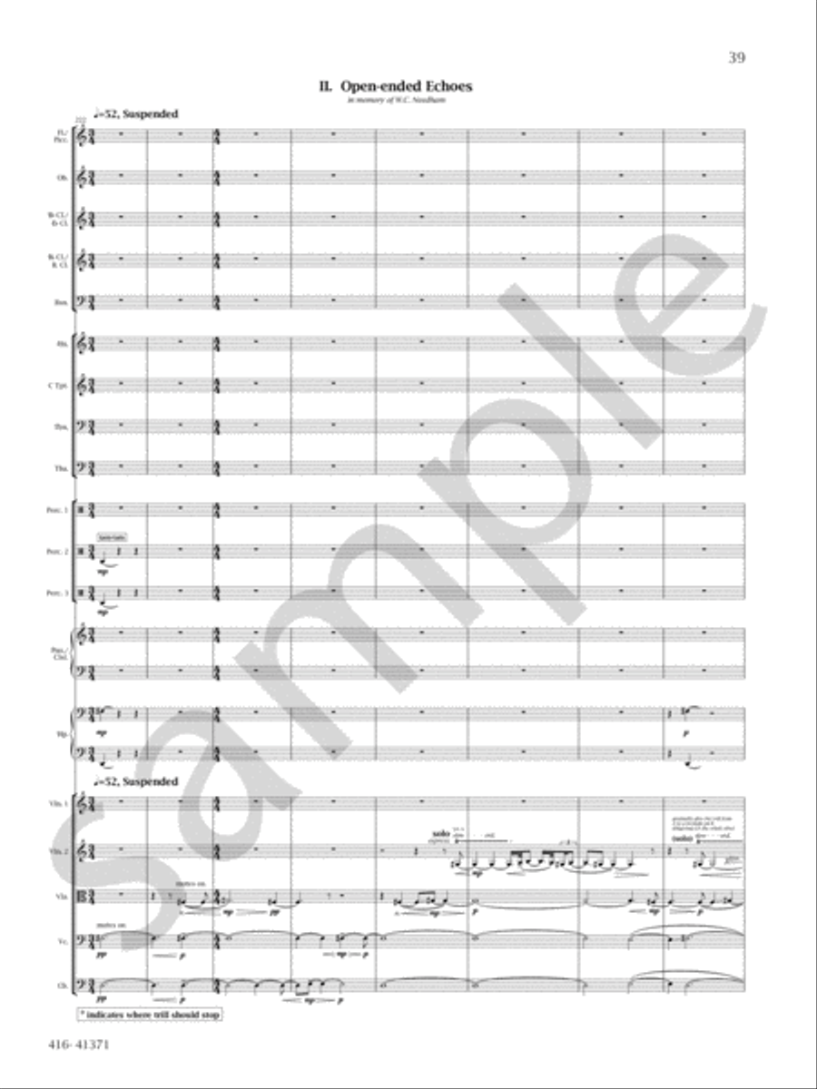 Chamber Symphony Orchestra scores gallery preview page 8