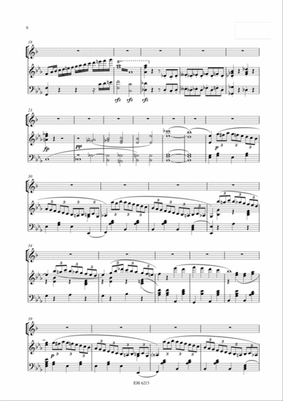 Concertino nr. 1 for Clarinet (Piano Reduction) Clarinet Solo scores gallery preview page 3