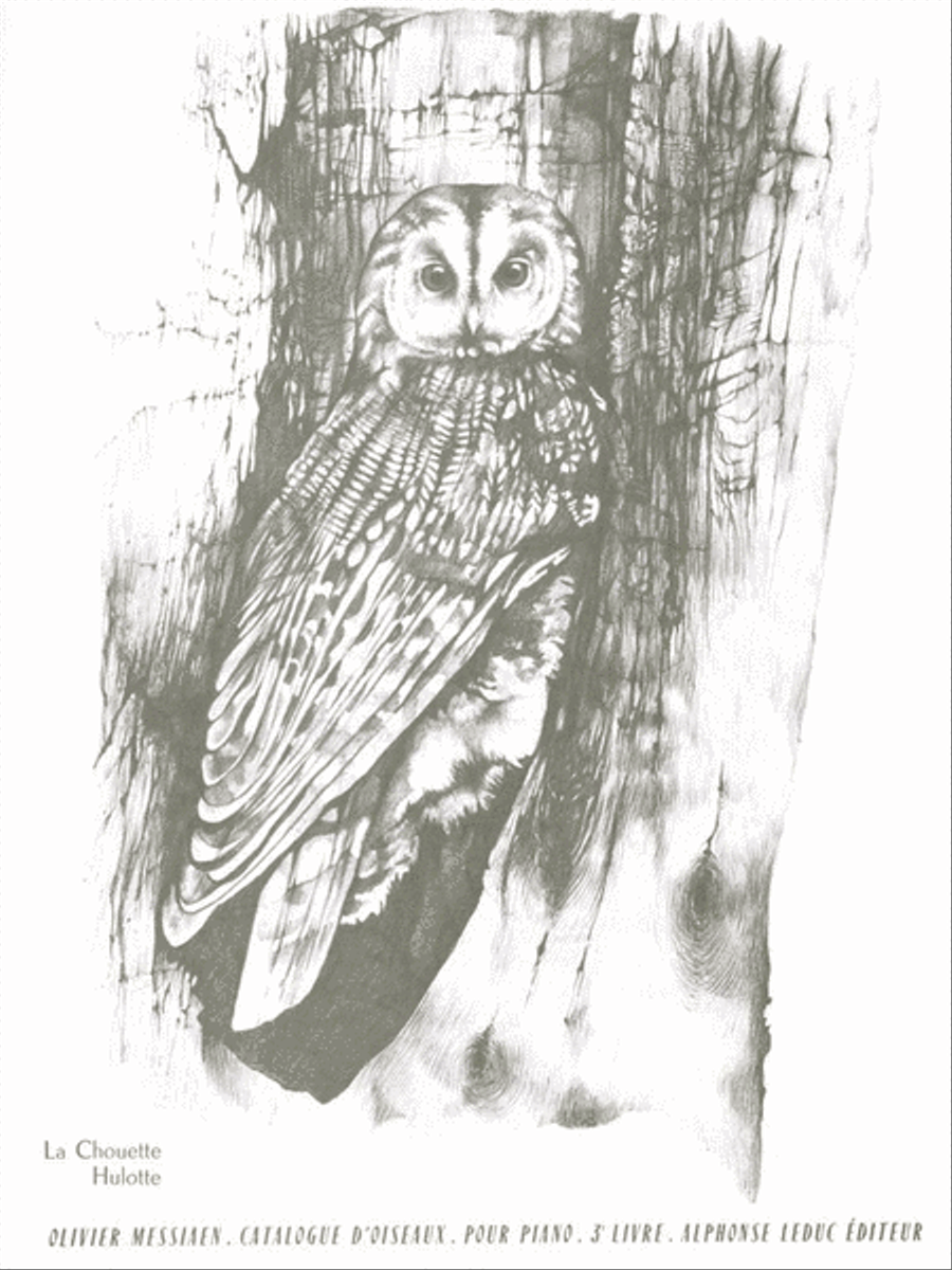 Catalogue of Birds (Catalogue d'Oiseaux) - Volume 3 Piano Solo scores gallery preview page 1