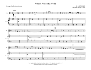 Book cover for What A Wonderful World