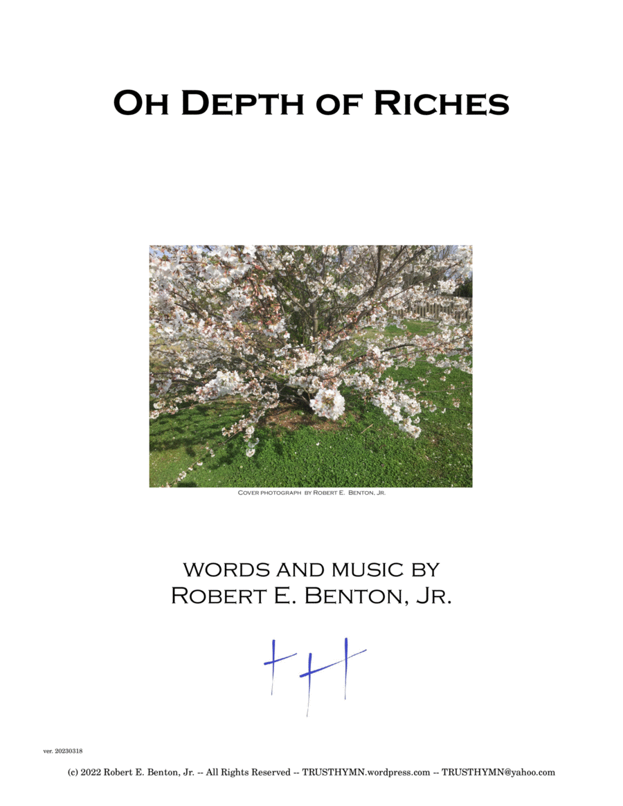 Oh Depth of Riches image number null