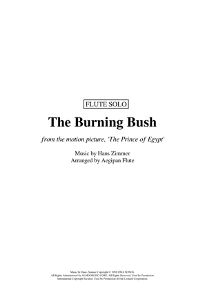Book cover for The Burning Bush