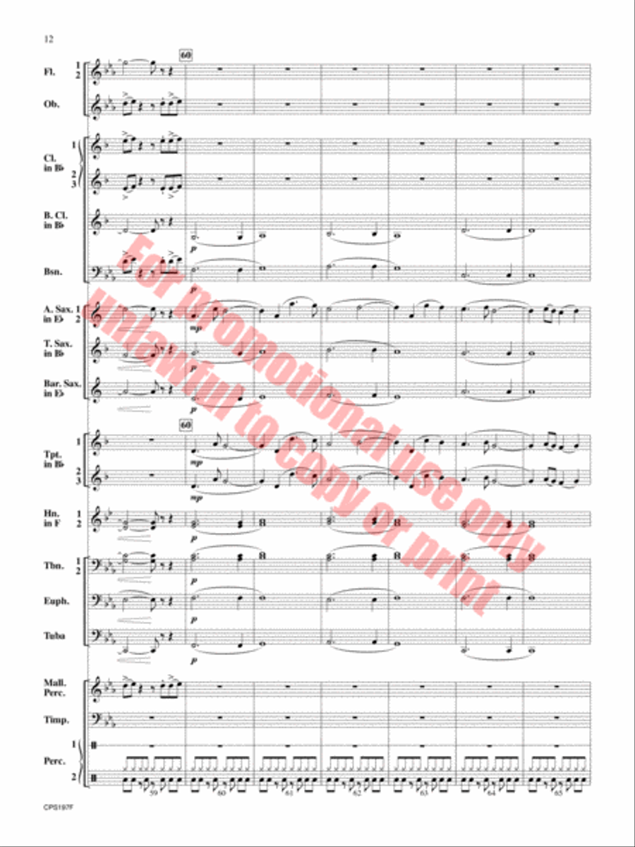 Polar Vortex Concert Band scores gallery preview page 13