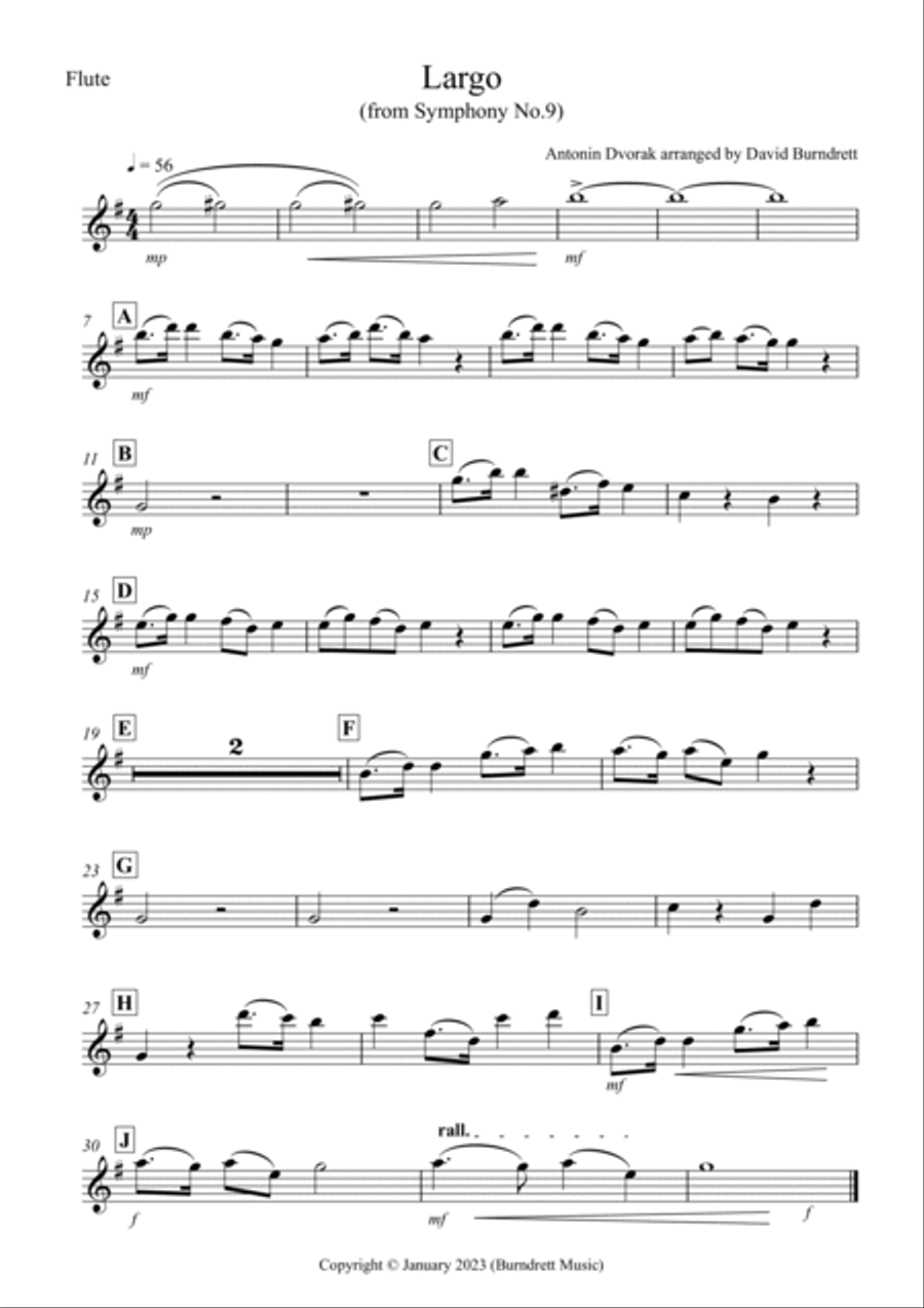 Largo (from the New World Symphony) for School Orchestra Full Orchestra scores gallery preview page 6