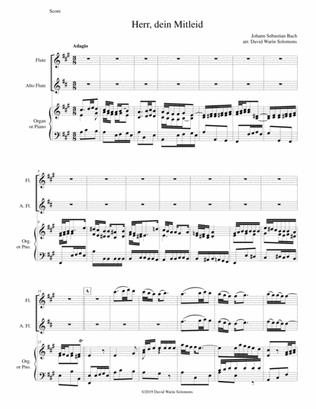 Herr dein Mitleid from the Christmas Oratorio - Weihnachtsoratorium flute, alto flute, keyboard