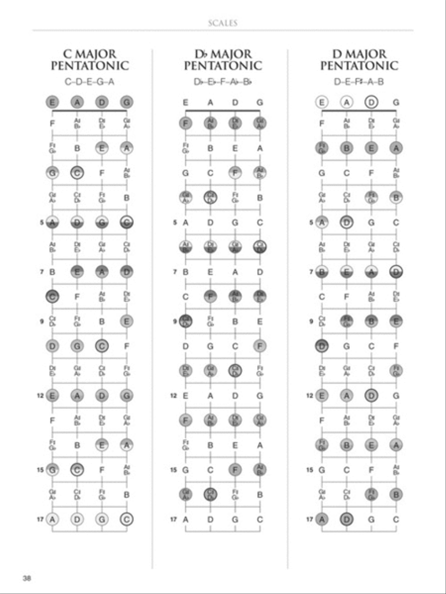 Bass Fretboard Atlas Bass Fretboard Atlas Collection / Songbook scores gallery preview page 5