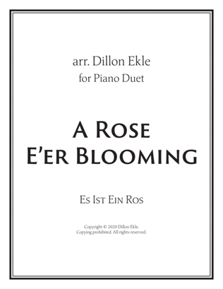 A Rose E'er Blooming