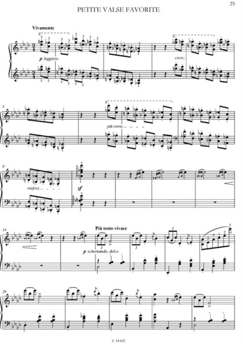 Hits & Rarities für Klavier - Liszt
