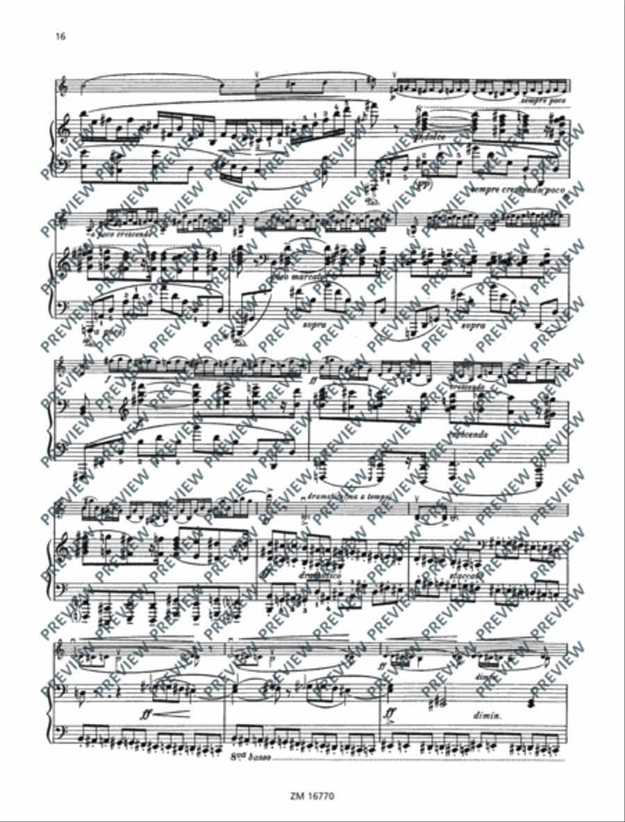 Sonata No. 2 G major Violin Solo scores gallery preview page 17