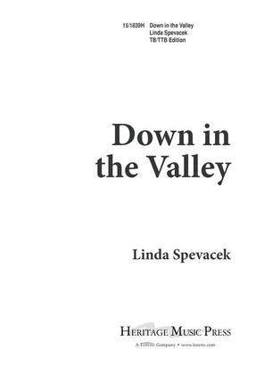 Book cover for Down in the Valley