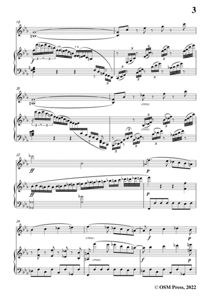 Beethoven-Violin Sonata No.3 in E flat Major,Op.12 No.3,for Violin and Piano