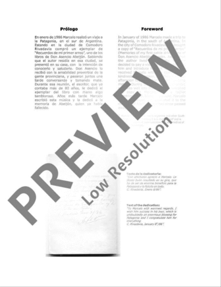 Homenaje a un Carrero Patagónico Flute scores gallery preview page 4