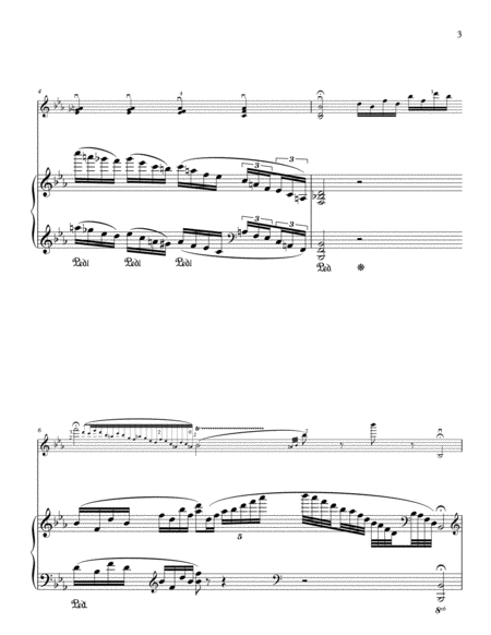 Paganini-Pokhanovski 24 Caprices: #17 for violin and piano image number null