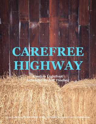 Book cover for Carefree Highway