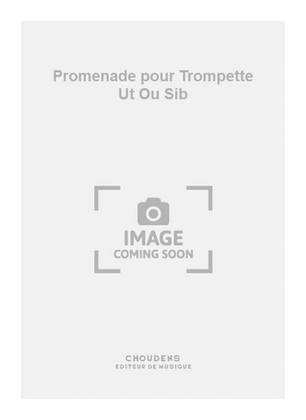 Book cover for Promenade pour Trompette Ut Ou Sib