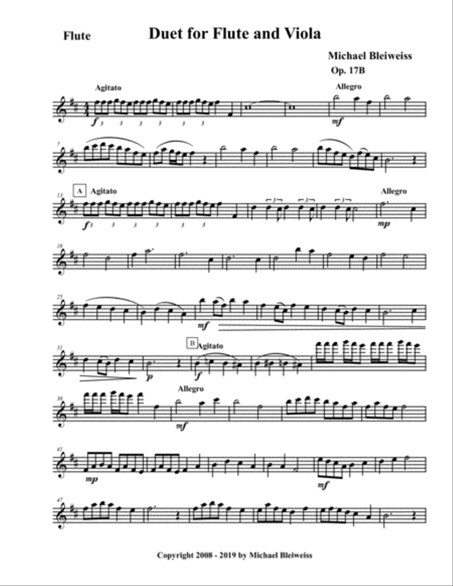 Duet Op. 17B for Flute and Viola Flute scores gallery preview page 2