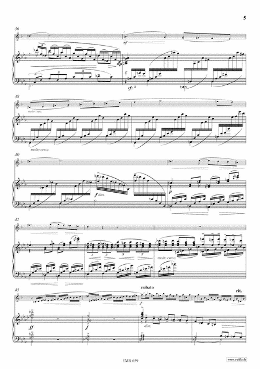 Konzert No. 1 c-moll Trumpet Solo scores gallery preview page 20