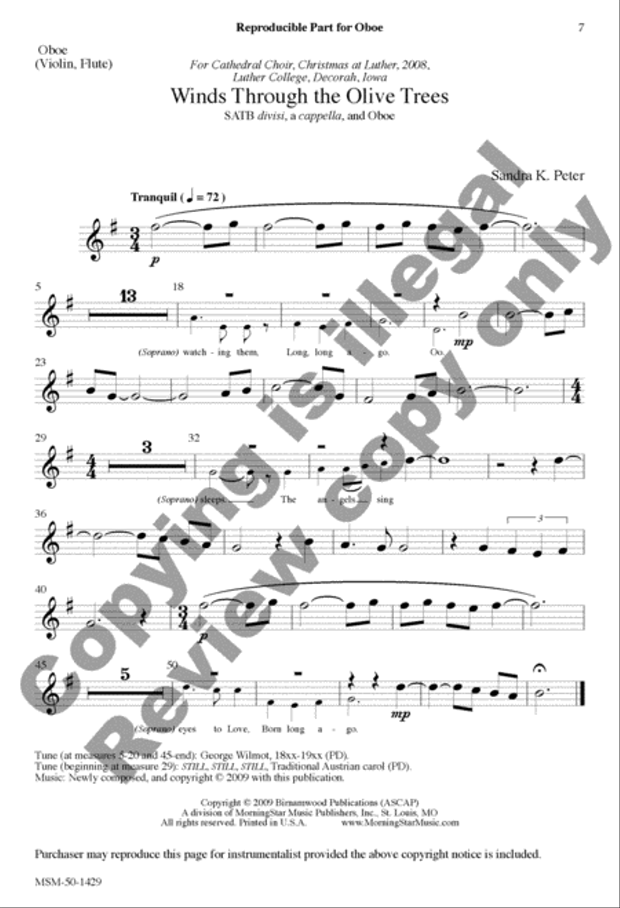 Winds Through the Olive Trees Divisi scores gallery preview page 14