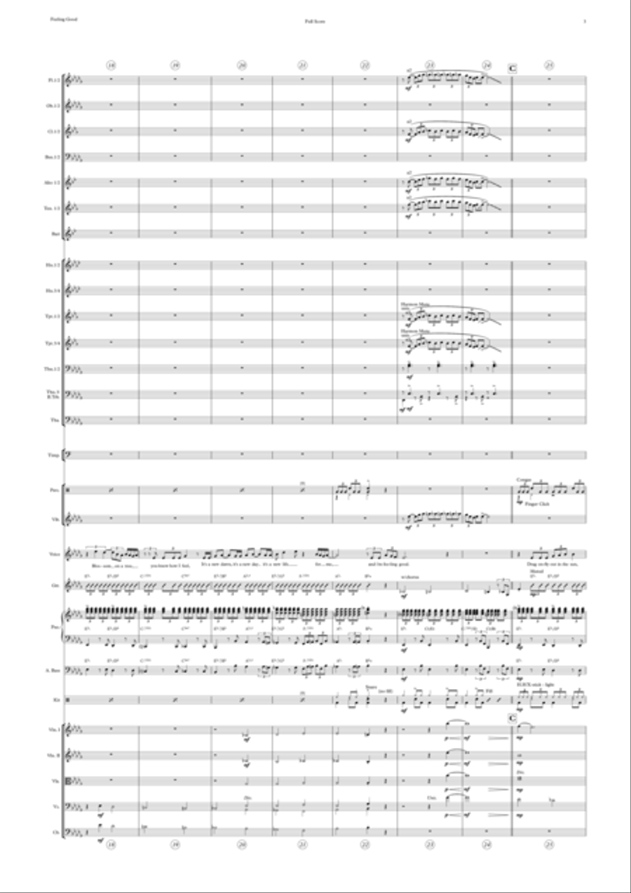 Feeling Good Full Orchestra scores gallery preview page 3