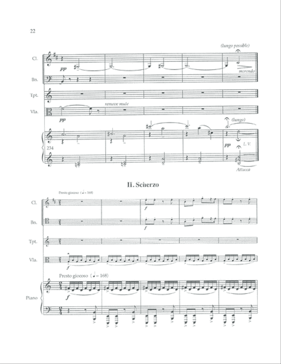 Chamber Symphony Bassoon scores gallery preview page 5