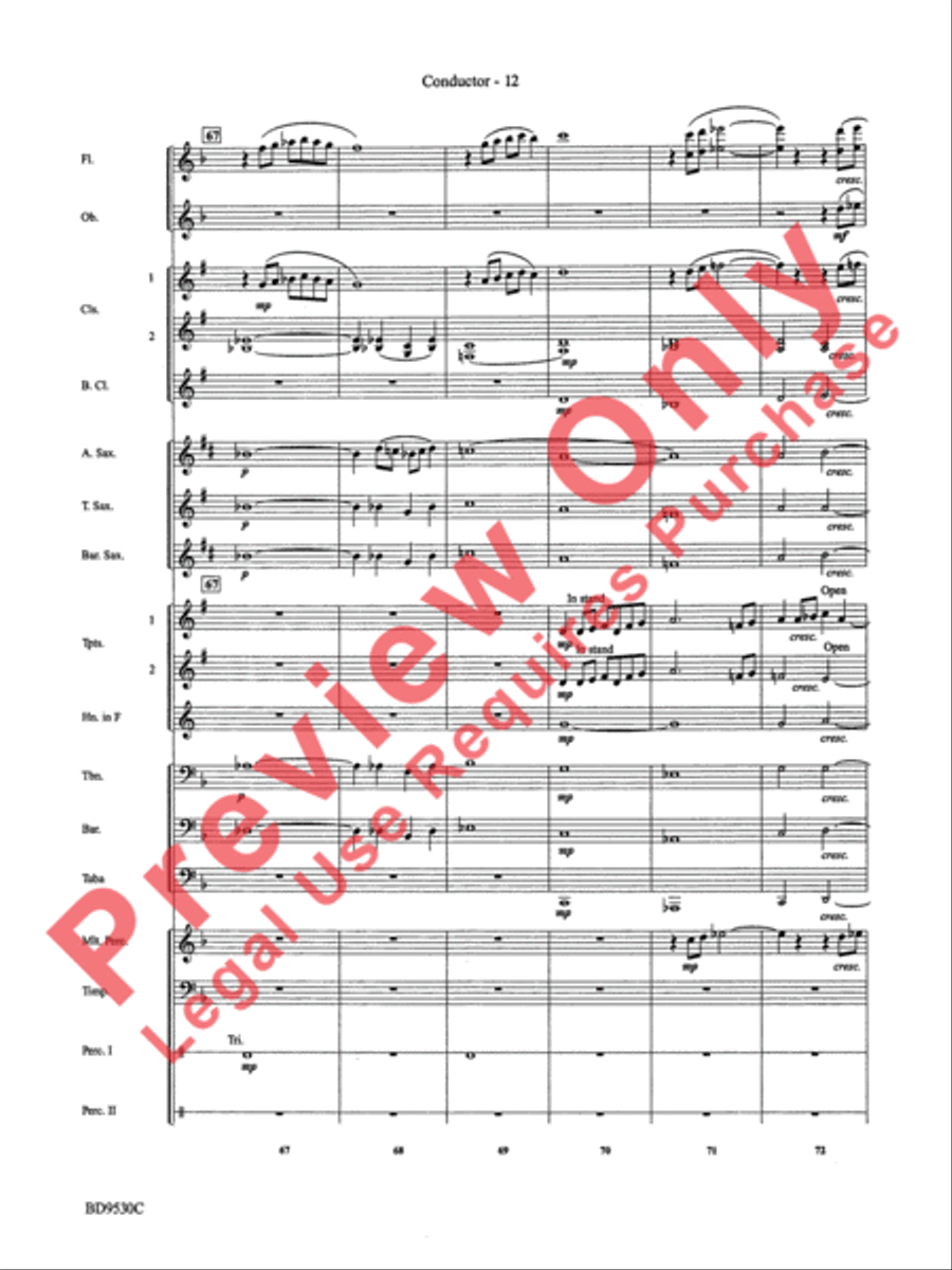 Shaker Variants Concert Band scores gallery preview page 15