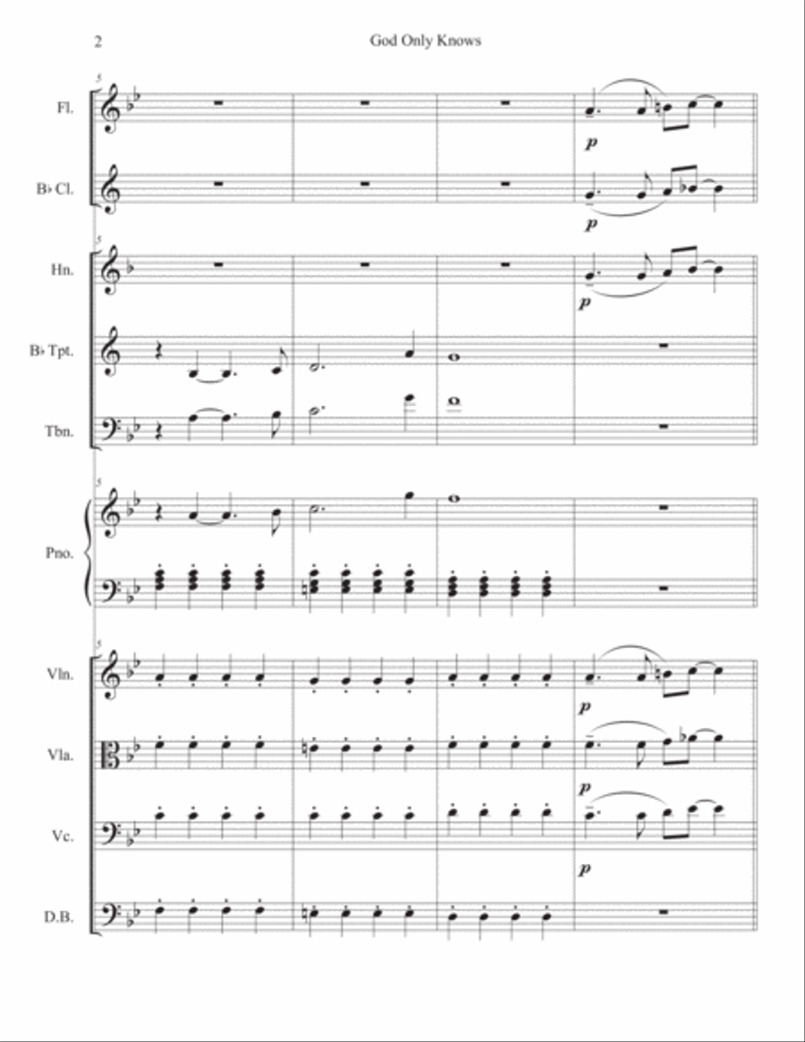 God Only Knows Chamber Orchestra scores gallery preview page 2