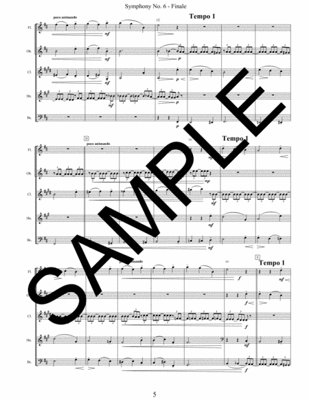 Symphony No. 6 - 4th Movement for Woodwind Quintet image number null