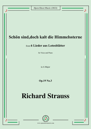 Book cover for Richard Strauss-Schön sind,doch kalt die Himmelssterne,in A Major