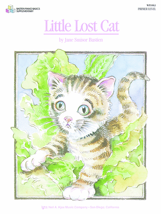 Book cover for Little Lost Cat
