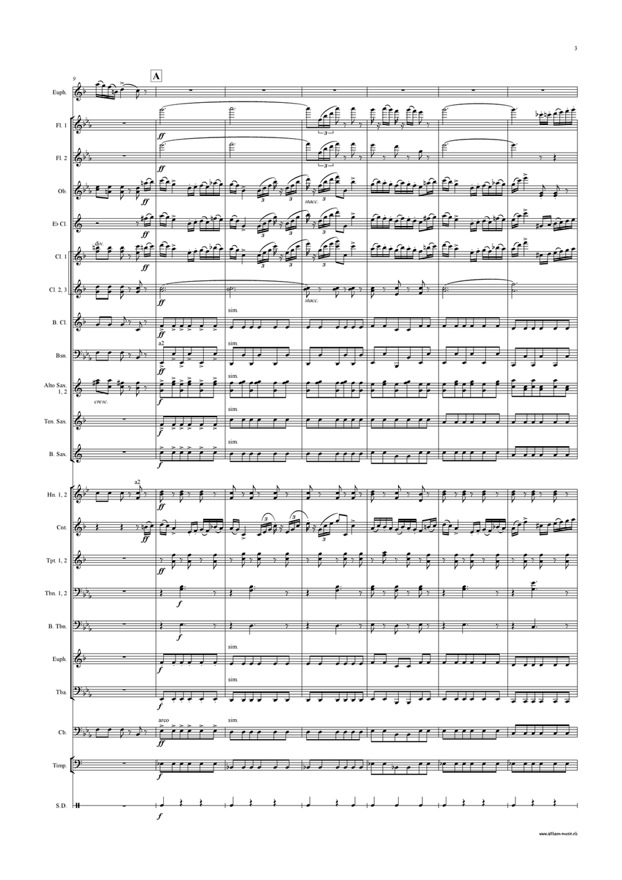 Polacca Concert Band scores gallery preview page 4