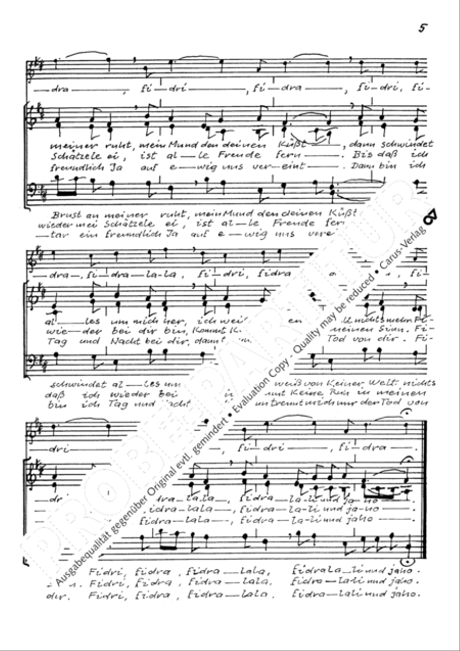 Auf hohen Bergen. Sechs schwabische Volkslieder Choir scores gallery preview page 8