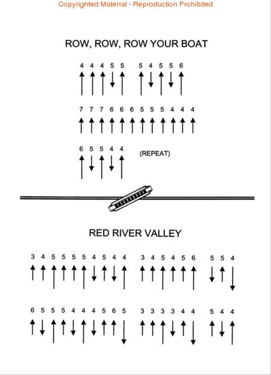 The Sourcebook of Sonny Terry Licks for Harmonica Harmonica scores gallery preview page 2
