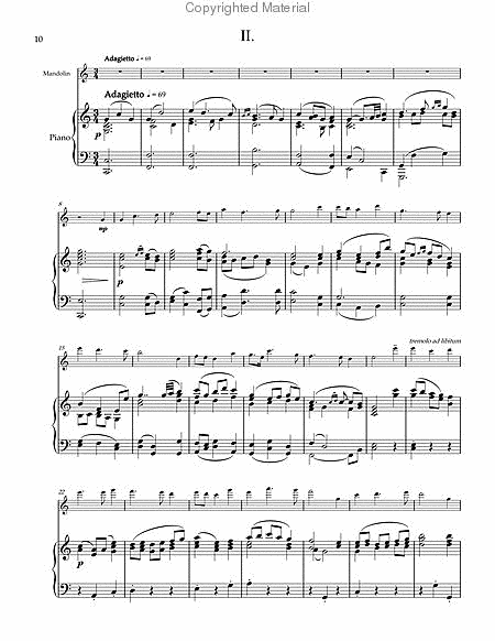 Mandolin Concerto No. 3 in E Minor