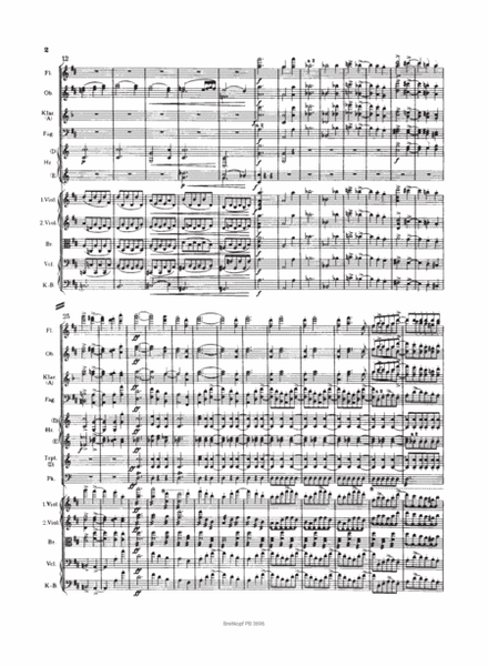 Violin Concerto in D major Op. 77