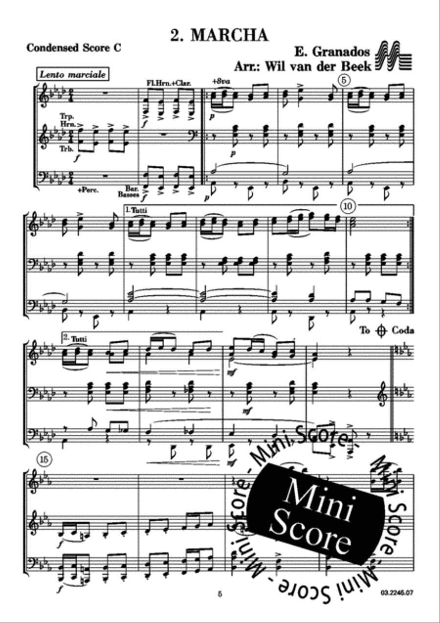 Danza Y Marcha Danza Y Marcha Concert Band scores gallery preview page 29