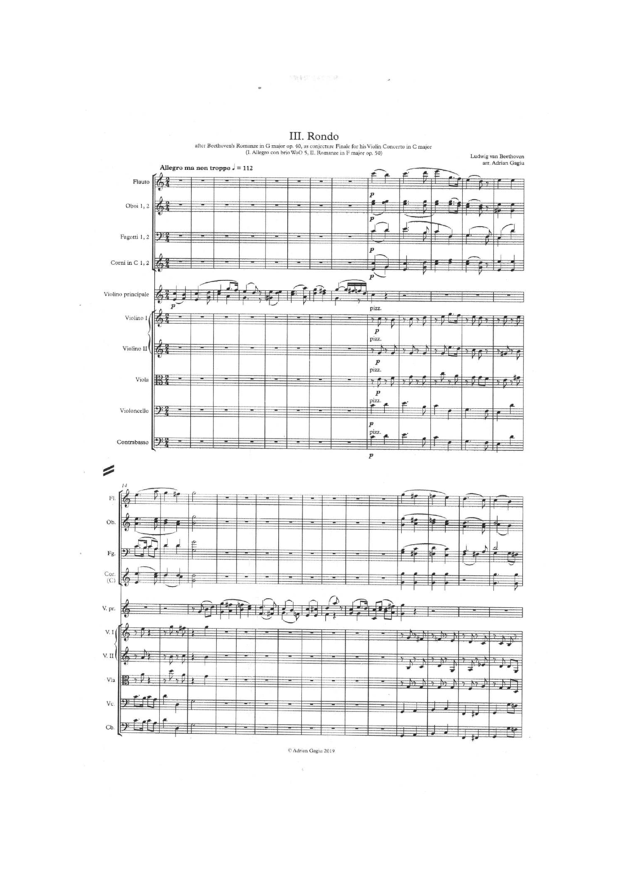 Finale for Beethoven's Violin Concerto in C major WoO 5 Chamber Orchestra scores gallery preview page 1