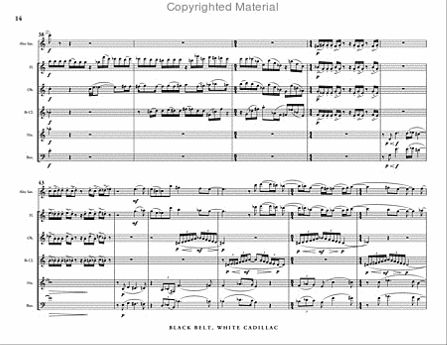 Black Belt, White Cadillac (score & parts) Woodwind Quintet scores gallery preview page 10