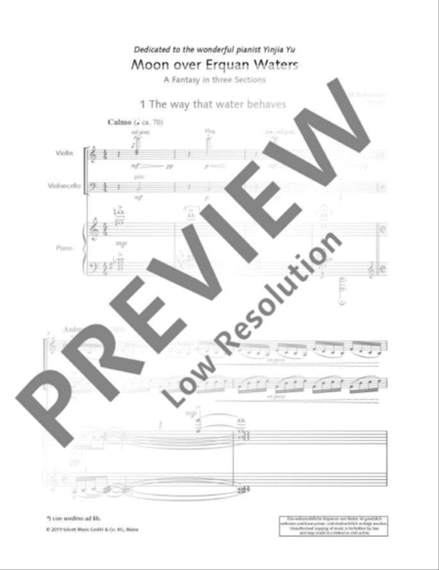 Moon over Erquan Waters Moon over Erquan Waters Piano Trio scores gallery preview page 8