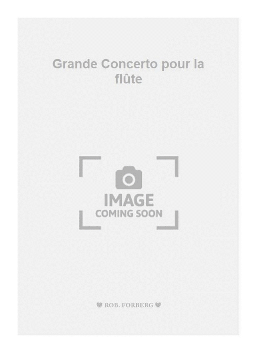 Grande Concerto pour la flûte Flute Solo scores gallery preview page 1