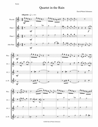 Book cover for Quartet in the Rain for flute quartet with piccolo and alto