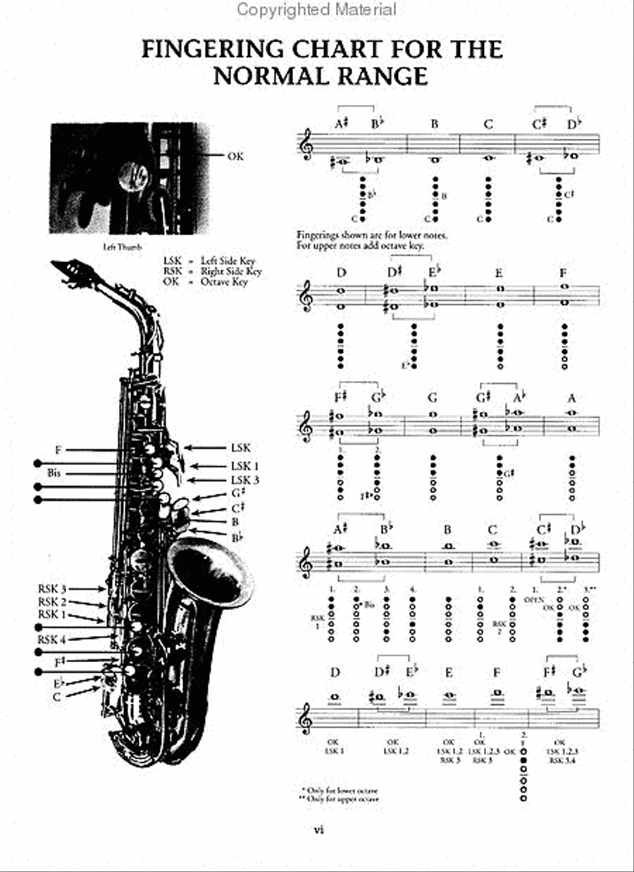 Saxophone High Tones Saxophone Solo scores gallery preview page 3