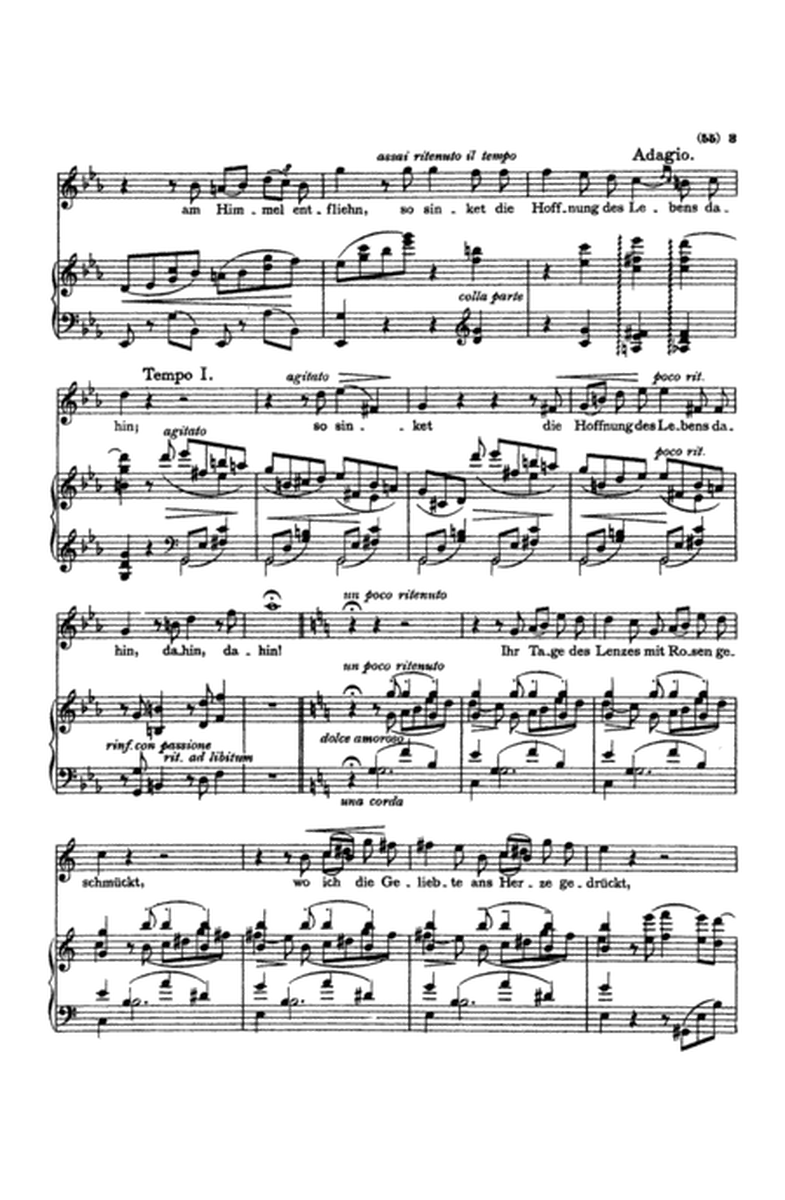 Liszt: Songs, Volume III, Nos. 1-22 (German)