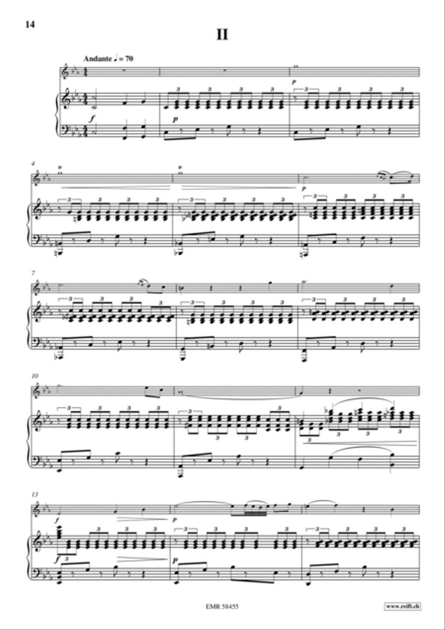 Concerto Flute Solo scores gallery preview page 7