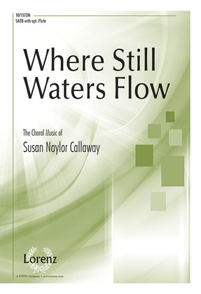 Book cover for Where Still Waters Flow