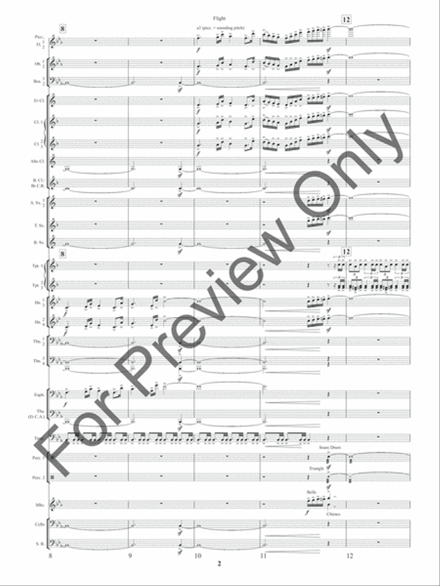 Flight (Score) Concert Band scores gallery preview page 5