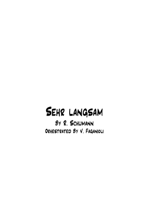Book cover for Sehr Langsam