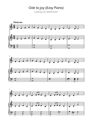 Ode To Joy - Easy Flute w/ piano accompaniment