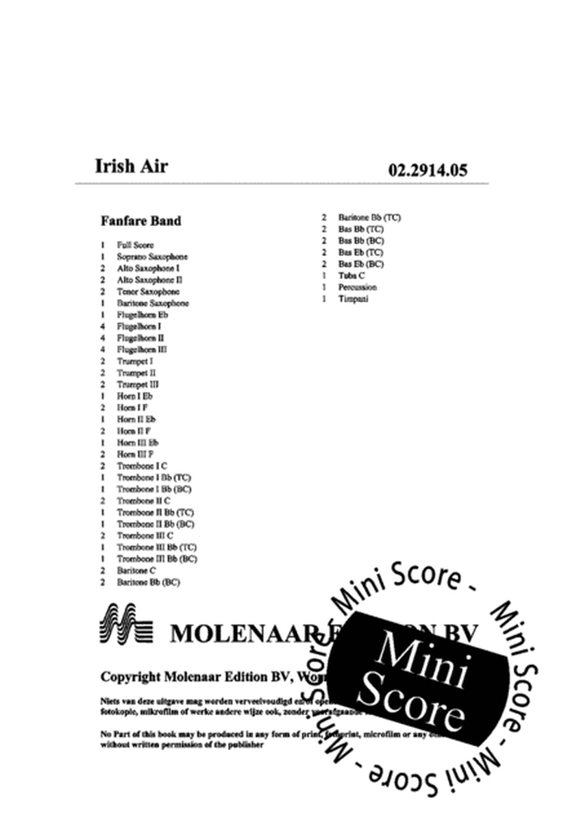 Irish Air image number null
